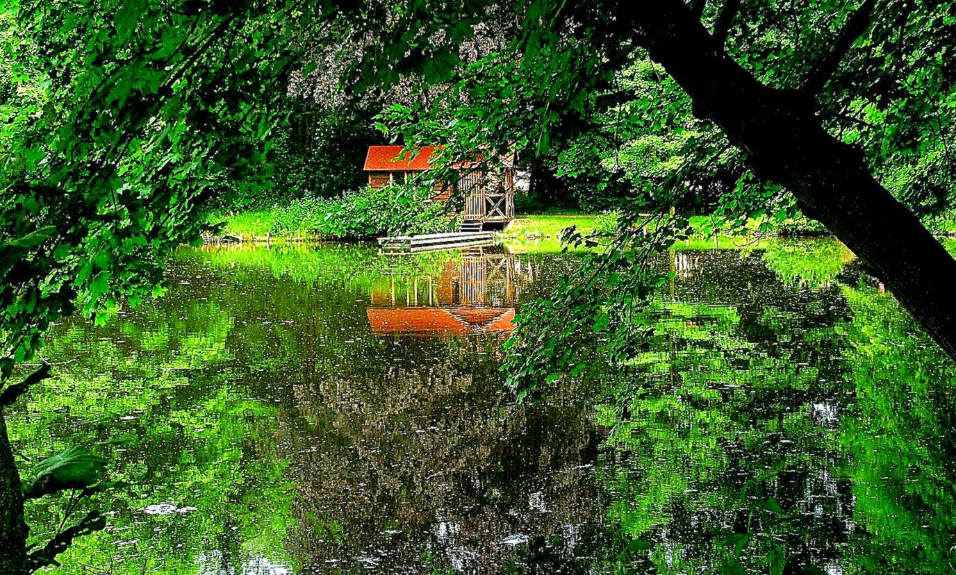 natur 3d tapete fenster 7,natürliche landschaft,natur,grün,baum,urwald