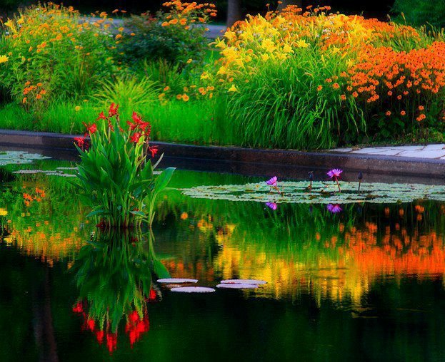 nature 3d wallpaper windows 7,nature,natural landscape,reflection,vegetation,pond