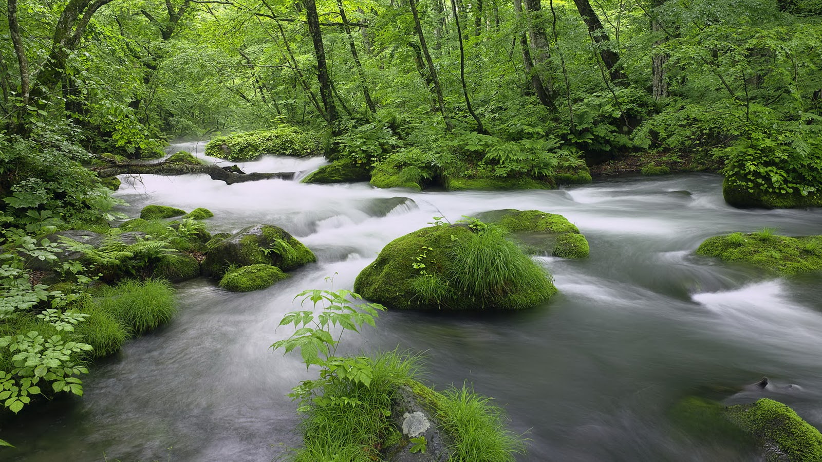 naturaleza 3d fondos de pantalla windows 7,paisaje natural,cuerpo de agua,naturaleza,recursos hídricos,corriente