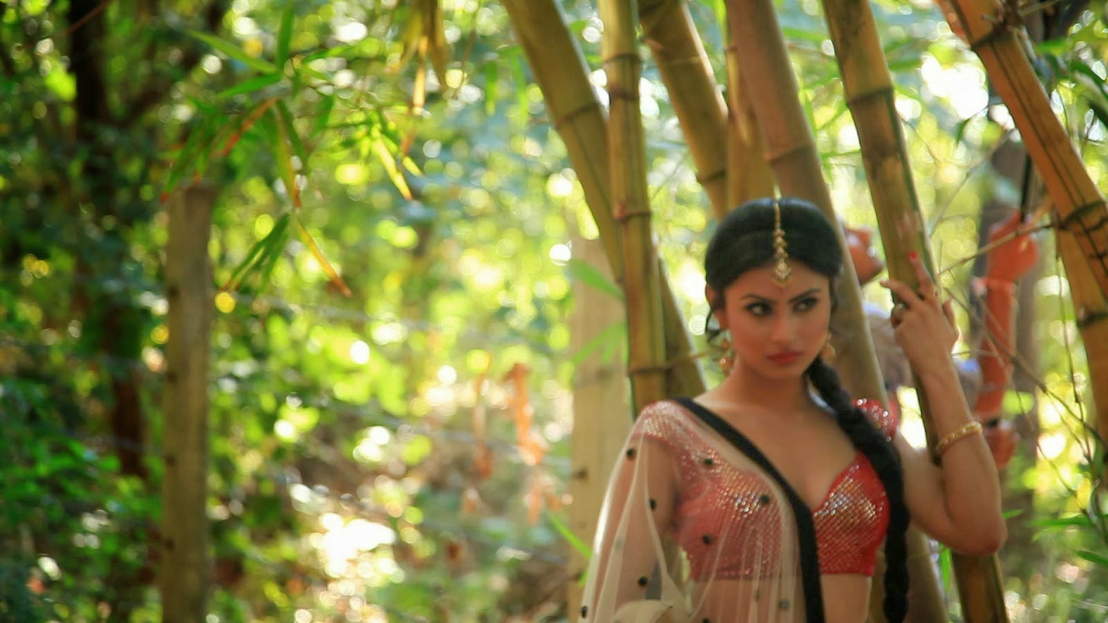 mouni roy hd wallpaper,people in nature,jungle,botany,tree,photo shoot