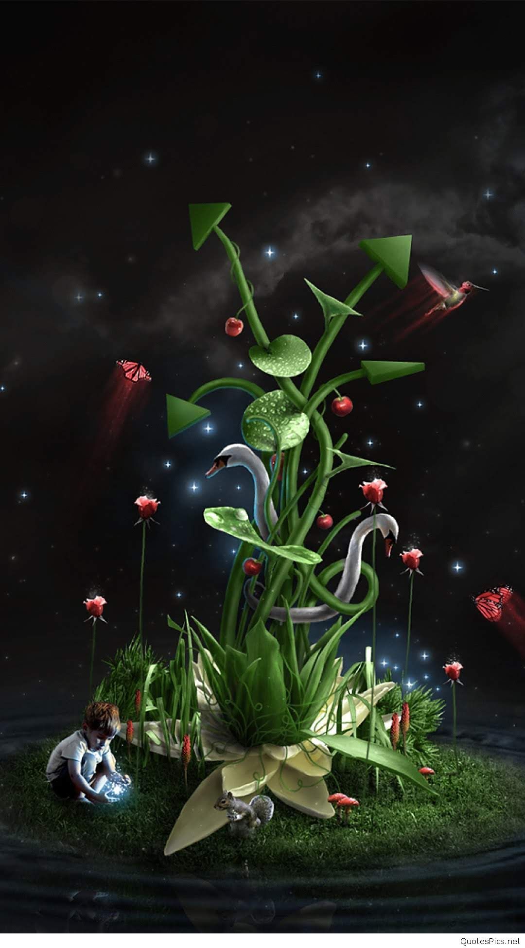 sfondi natura per cellulari android,pianta,fiore,fotografia di still life,natura morta,fotografia