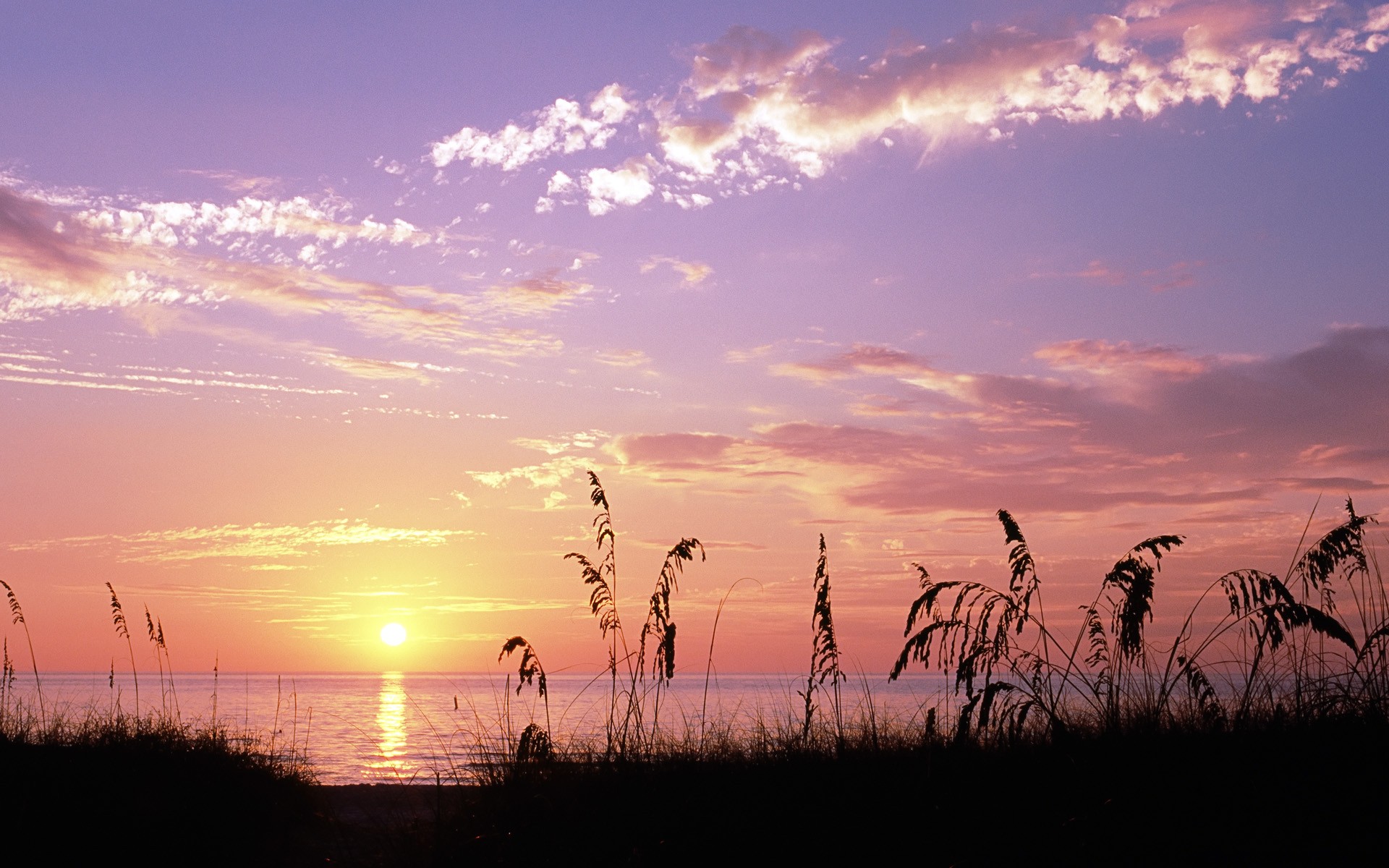 pink color wallpaper hd,sky,nature,afterglow,horizon,sunset