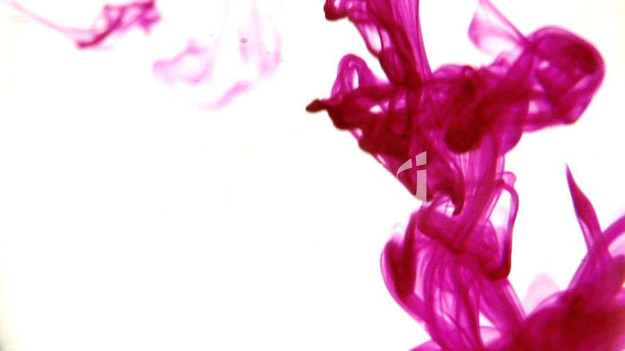 fondo de pantalla de color rosa hd,rosado,rojo,púrpura,violeta,pétalo