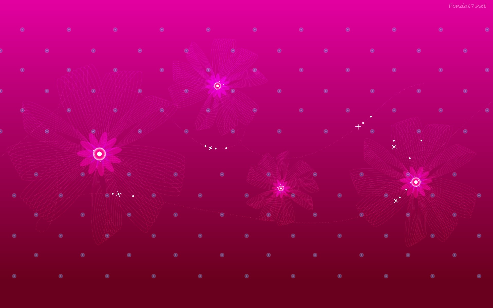 pink color wallpaper hd,pink,violet,purple,red,light (242307