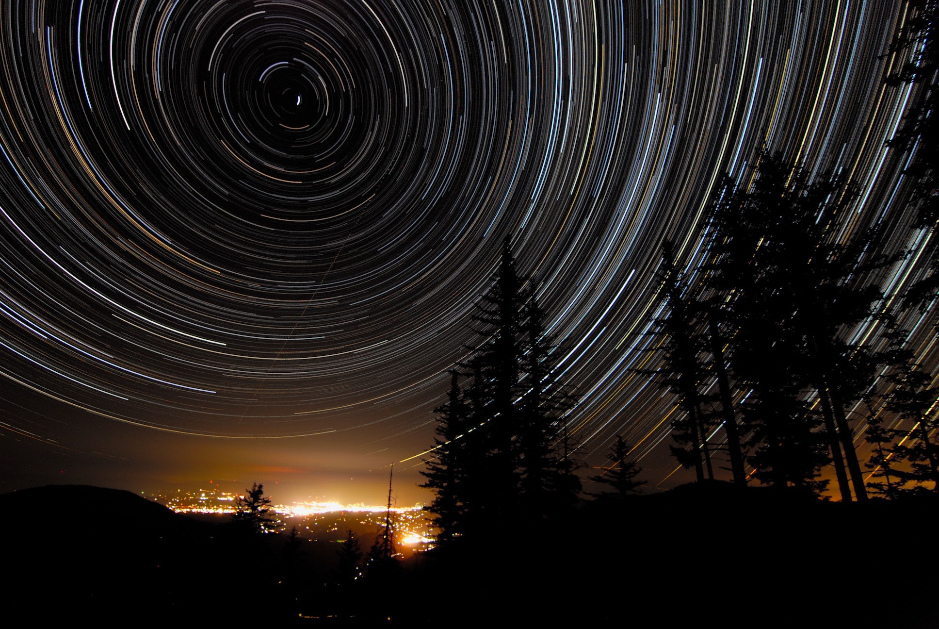 star trails wallpaper,sky,nature,night,light,tree