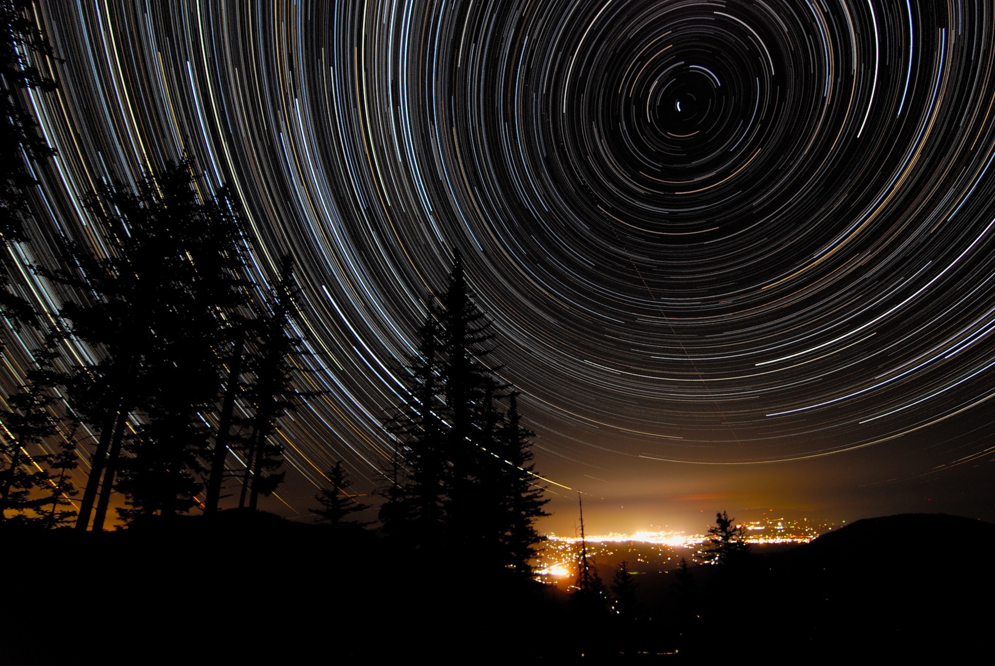 carta da parati con tracce di stelle,cielo,natura,notte,leggero,albero