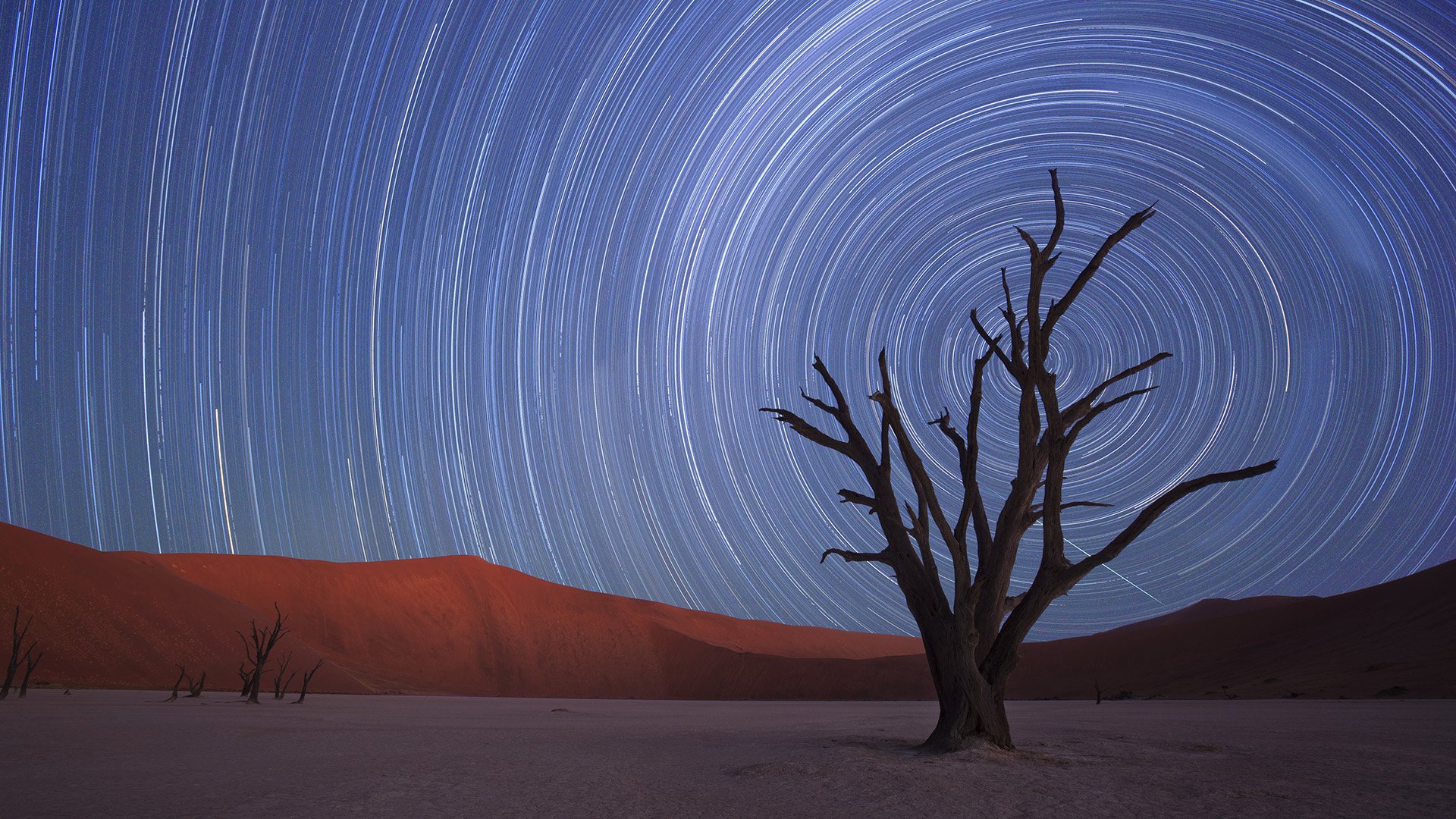 star trails wallpaper,sky,tree,natural environment,landscape,atmosphere