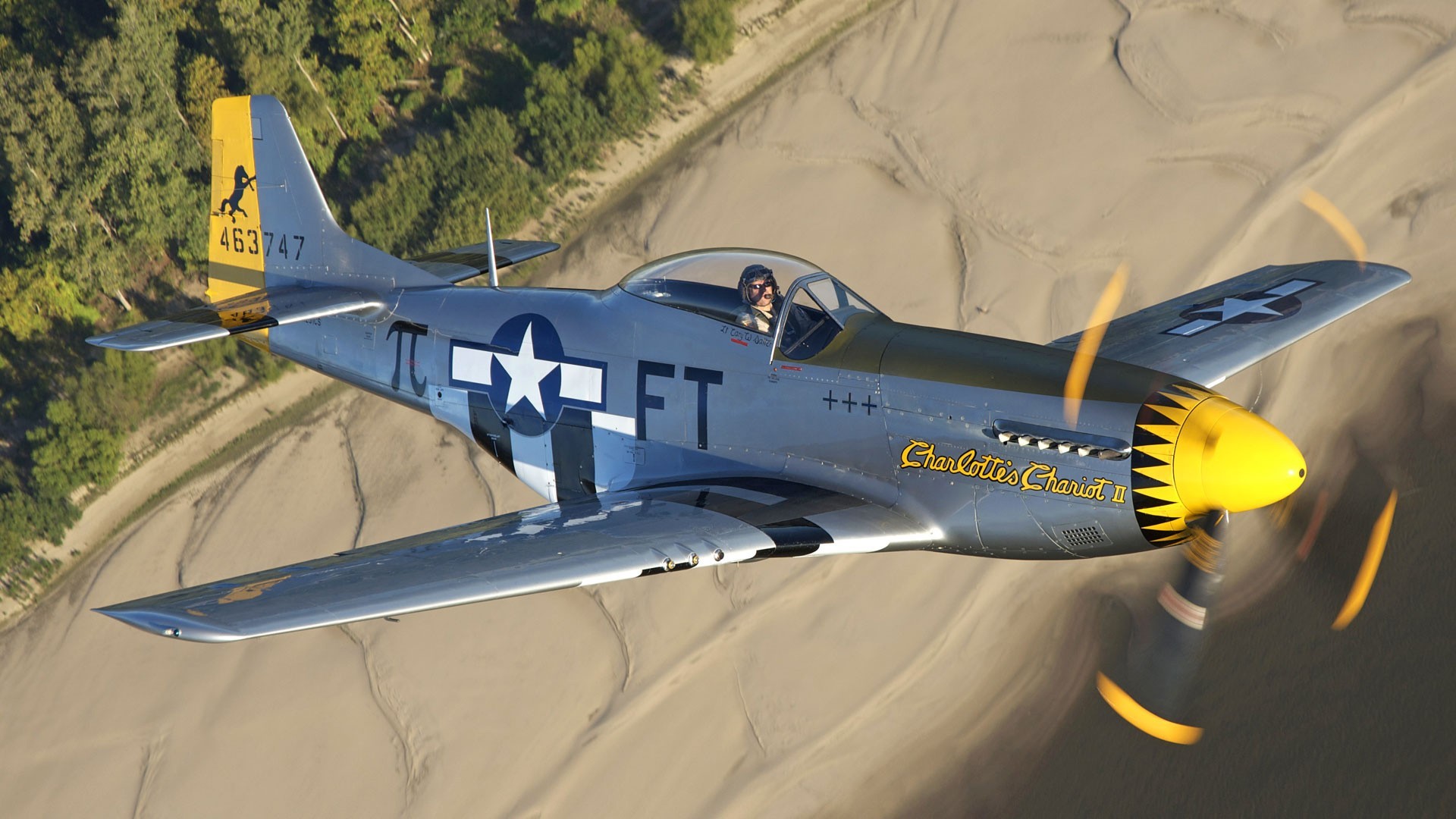 AEREO A ELICA Nikko Aria Racer P-51D MUSTANG RC 48 CM Radio IN Scatola