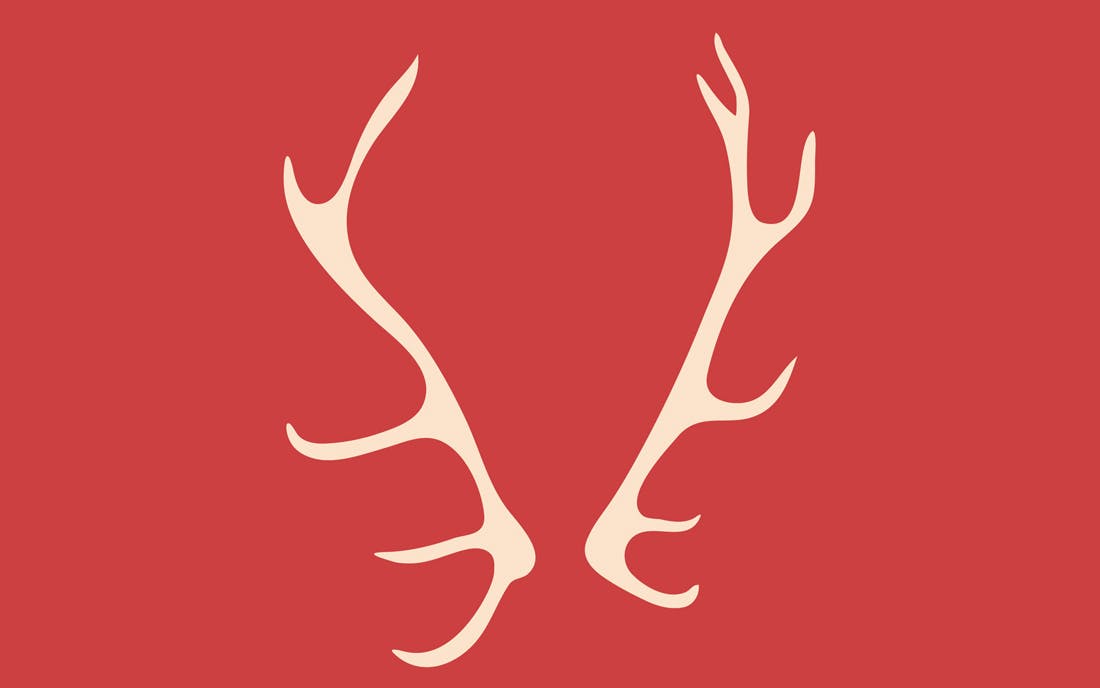 antler wallpaper,red,horn,font,antler,logo
