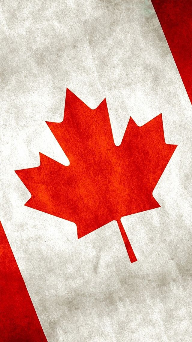 캐나다 아이폰 배경 화면,단풍잎,나무,잎,빨간,깃발