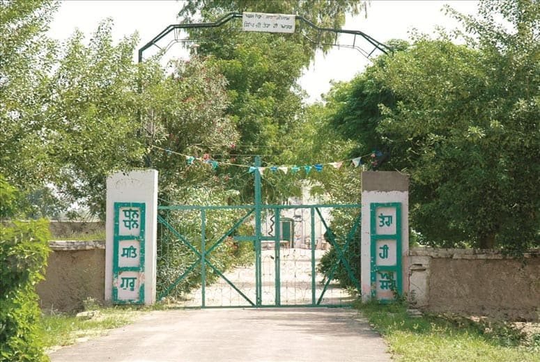 dera sacha sauda wallpapers,nature reserve,property,tree,gate,land lot