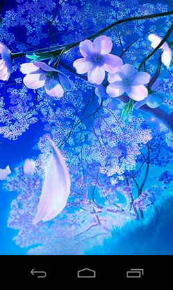 3d magic wallpaper herunterladen,blau,himmel,blühen,blume,pflanze