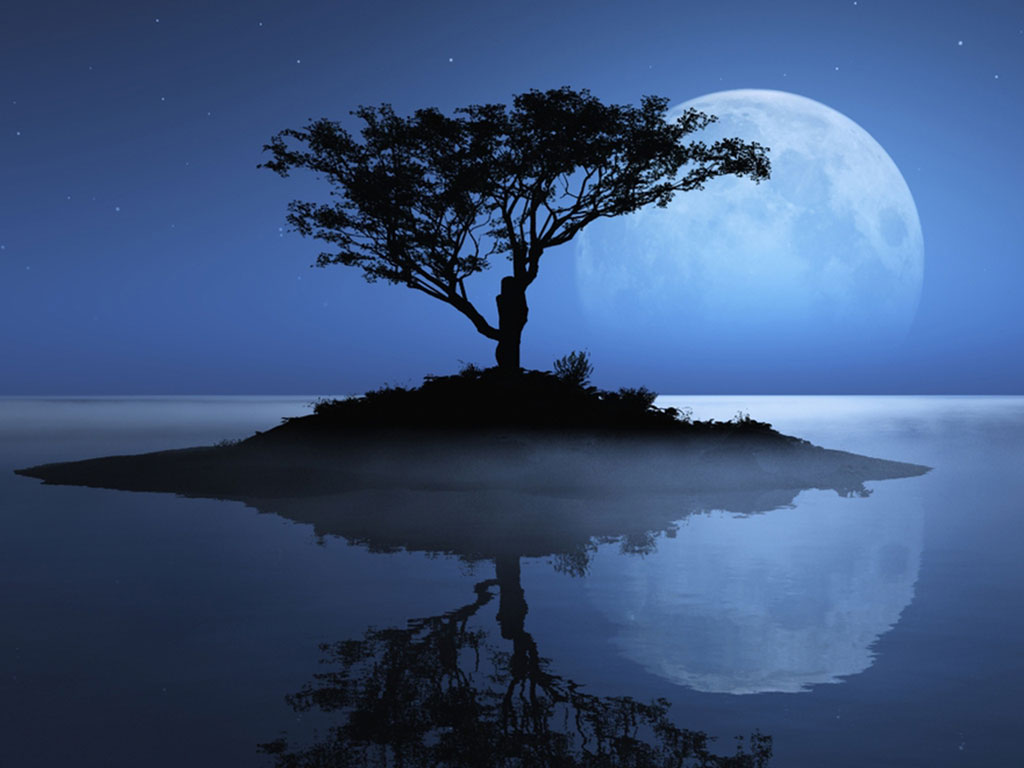 wallpapers hd tablet,nature,natural landscape,sky,tree,moon