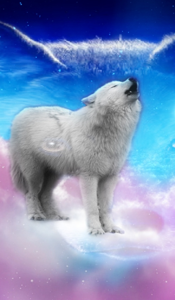 600x1024 fonds d'écran,ours polaire,ciel,le renard arctique,ours,loup