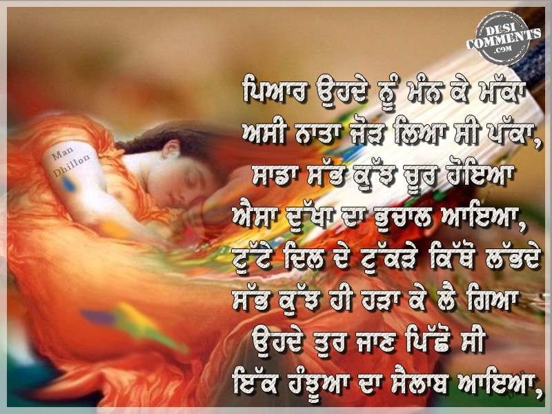 punjabi wording wallpaper,organism,font,photo caption,photography