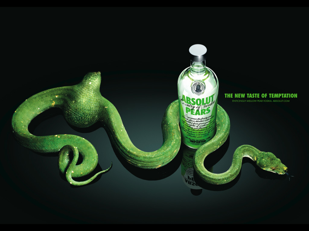 absolut vodka wallpaper,green,serpent,snake,organism,scaled reptile