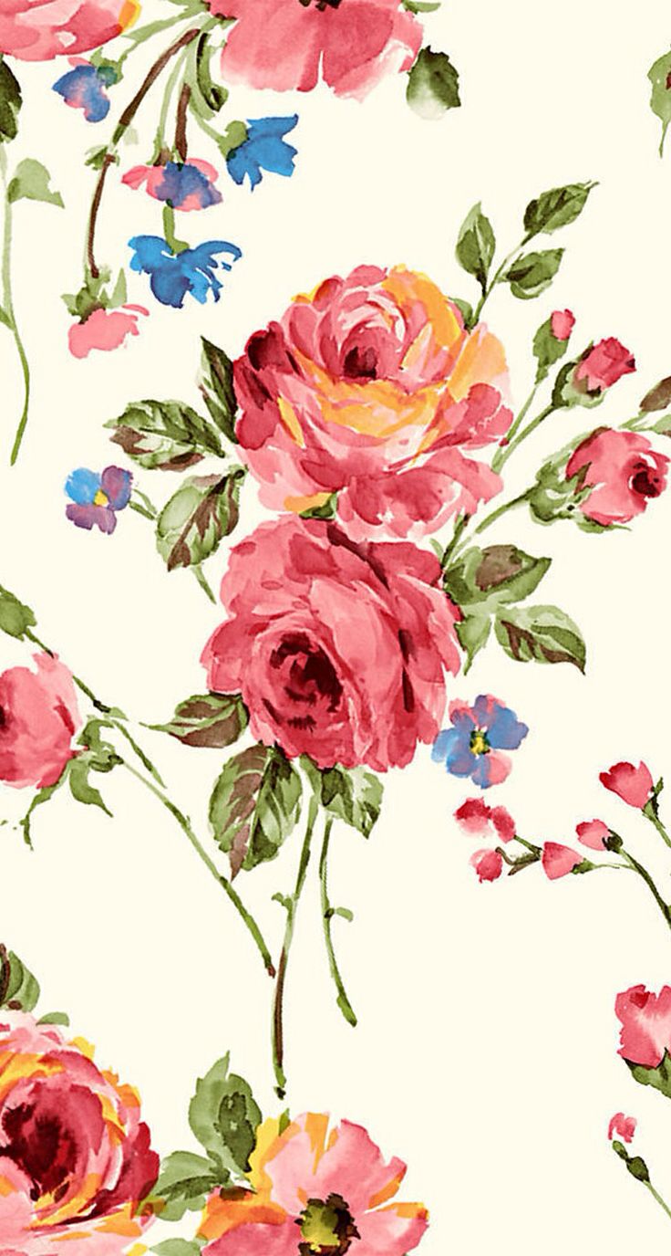 melhores wallpapers para android,flower,garden roses,rose,rosa × centifolia,pink
