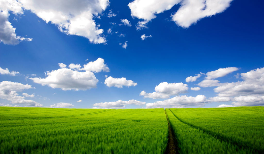 1024x600 fondo de pantalla hd,cielo,paisaje natural,campo,verde,pradera