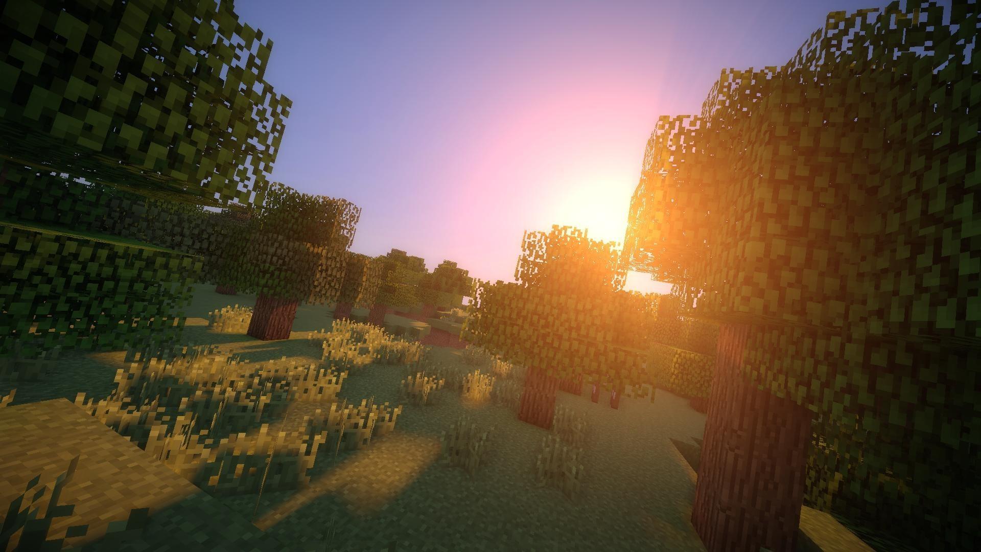 carta da parati shader di minecraft,cielo,mattina,immagine dello schermo,albero,luce del sole