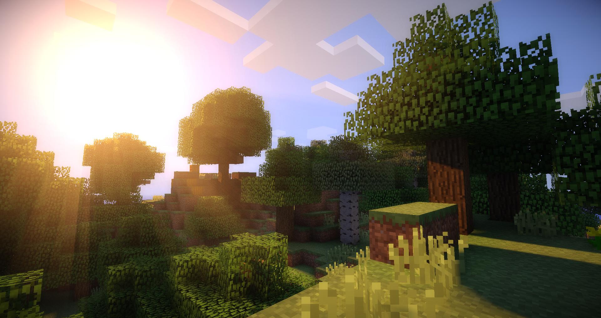 fond d'écran minecraft shader,lumière,arbre,ciel,lumière du soleil,herbe