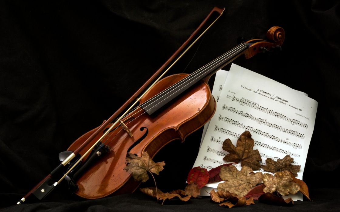 fondo de pantalla de instrumentos musicales,música,instrumento musical,violín,violín,viola
