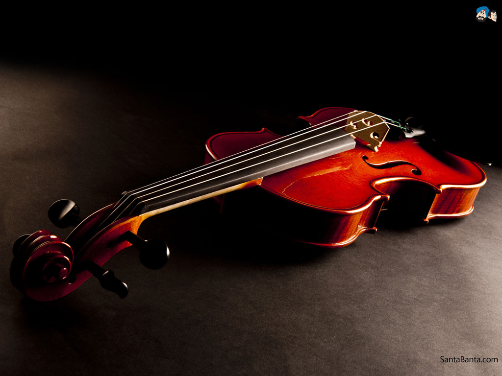 fond d'écran d'instruments de musique,violon,instrument de musique,la musique,alto,violon