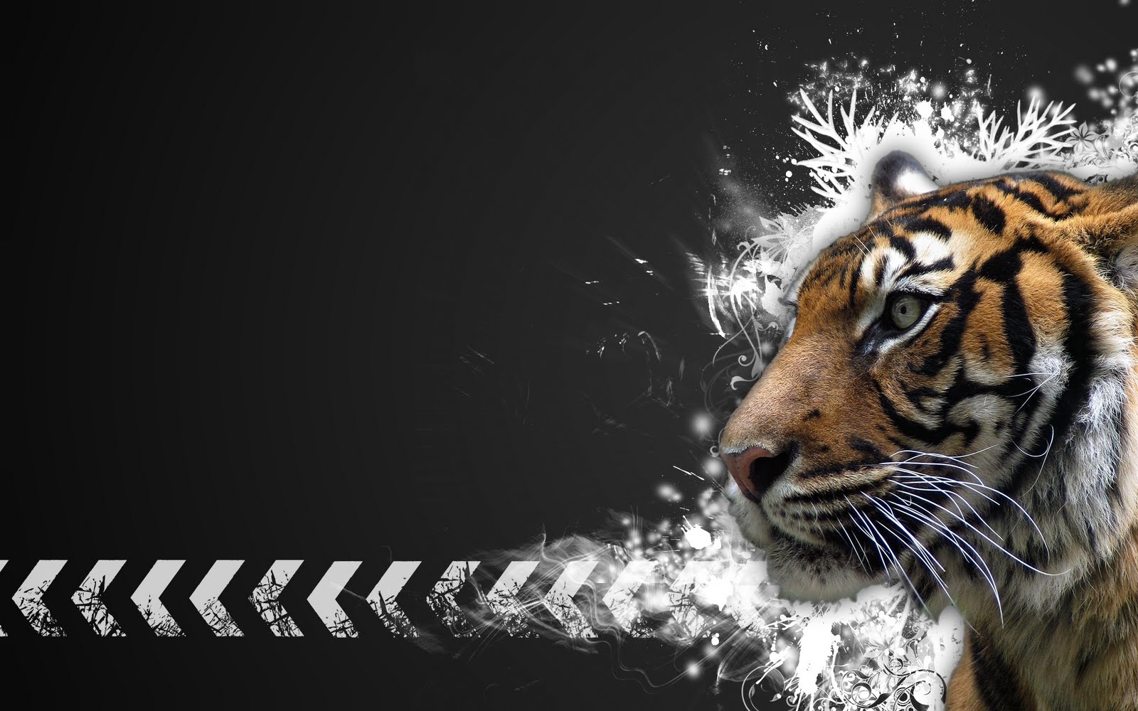 tigre wallpaper hd,tiger,wildlife,bengal tiger,siberian tiger,mammal