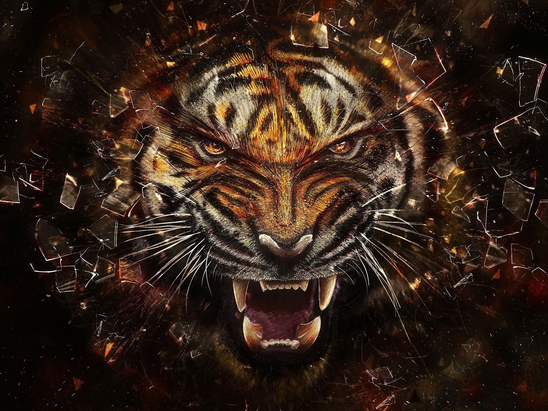 tigre fond d'écran hd,tigre du bengale,tigre,faune,félidés,animal terrestre