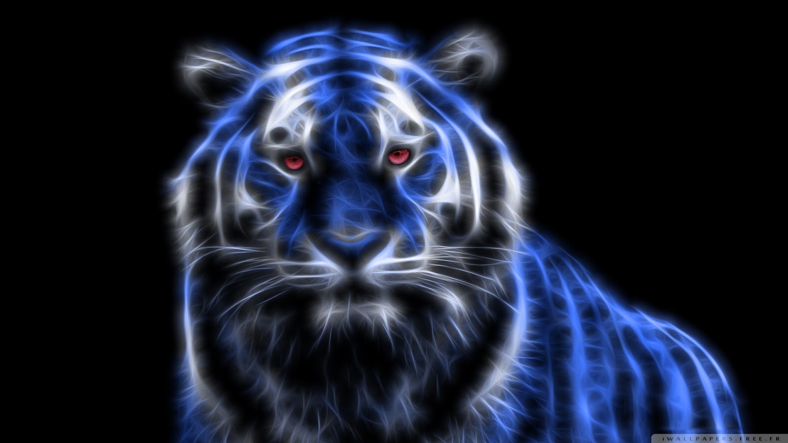 tigre wallpaper hd,felidae,blue,big cats,bengal tiger,whiskers