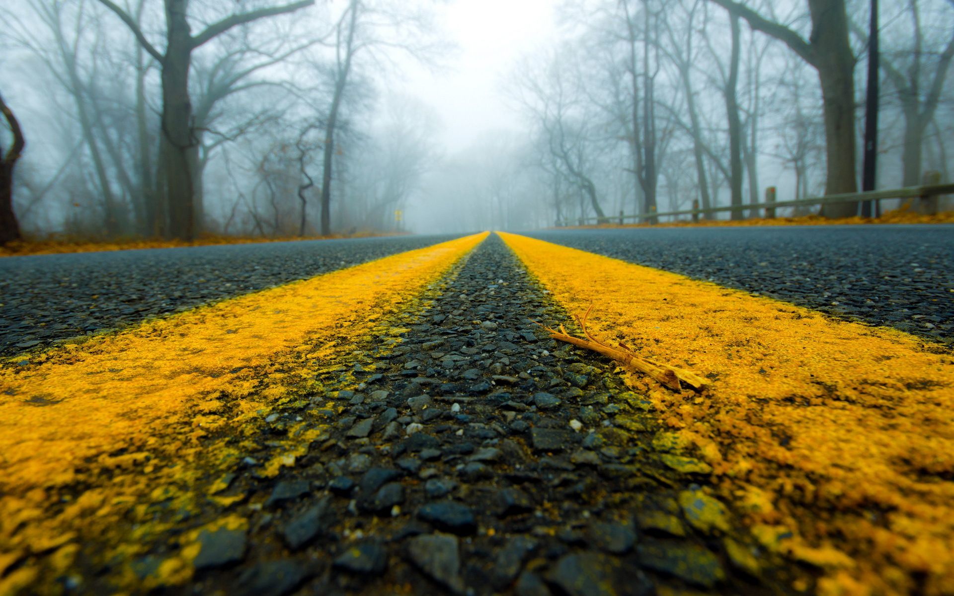 fondos de pantalla de naturaleza,paisaje natural,naturaleza,amarillo,árbol,cielo