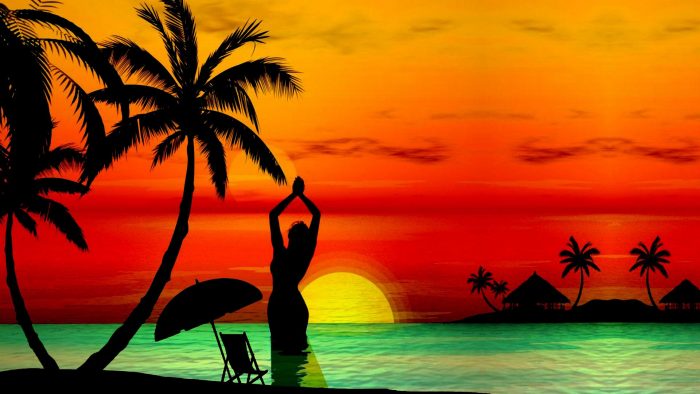 papier peint verano,ciel,la nature,arbre,palmier,le coucher du soleil