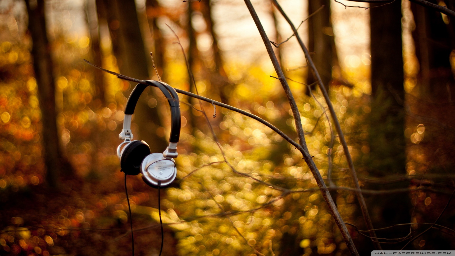 소니 벽지 hd 1080p,헤드폰,자연,오디오 장비,간단한 기계 장치,나무