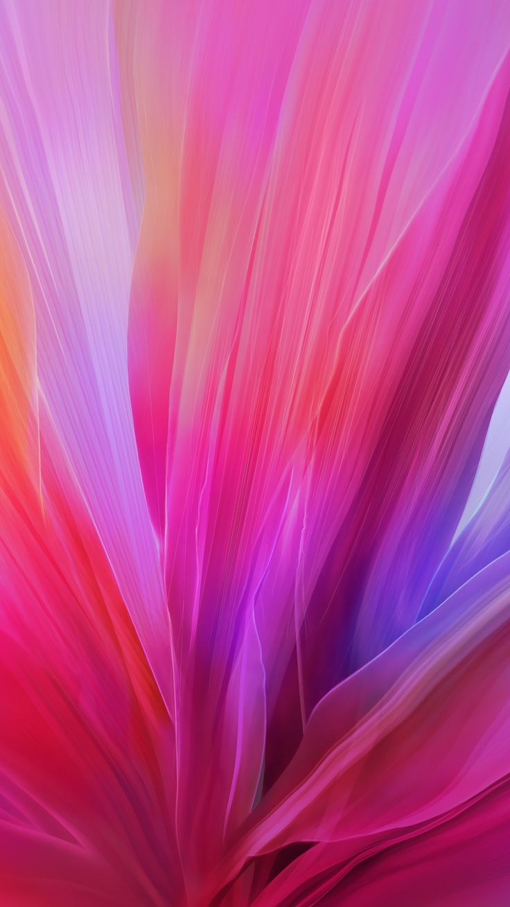 Sony Z5 Wallpaper Pink Petal Magenta Close Up Fractal Art 2498 Wallpaperuse