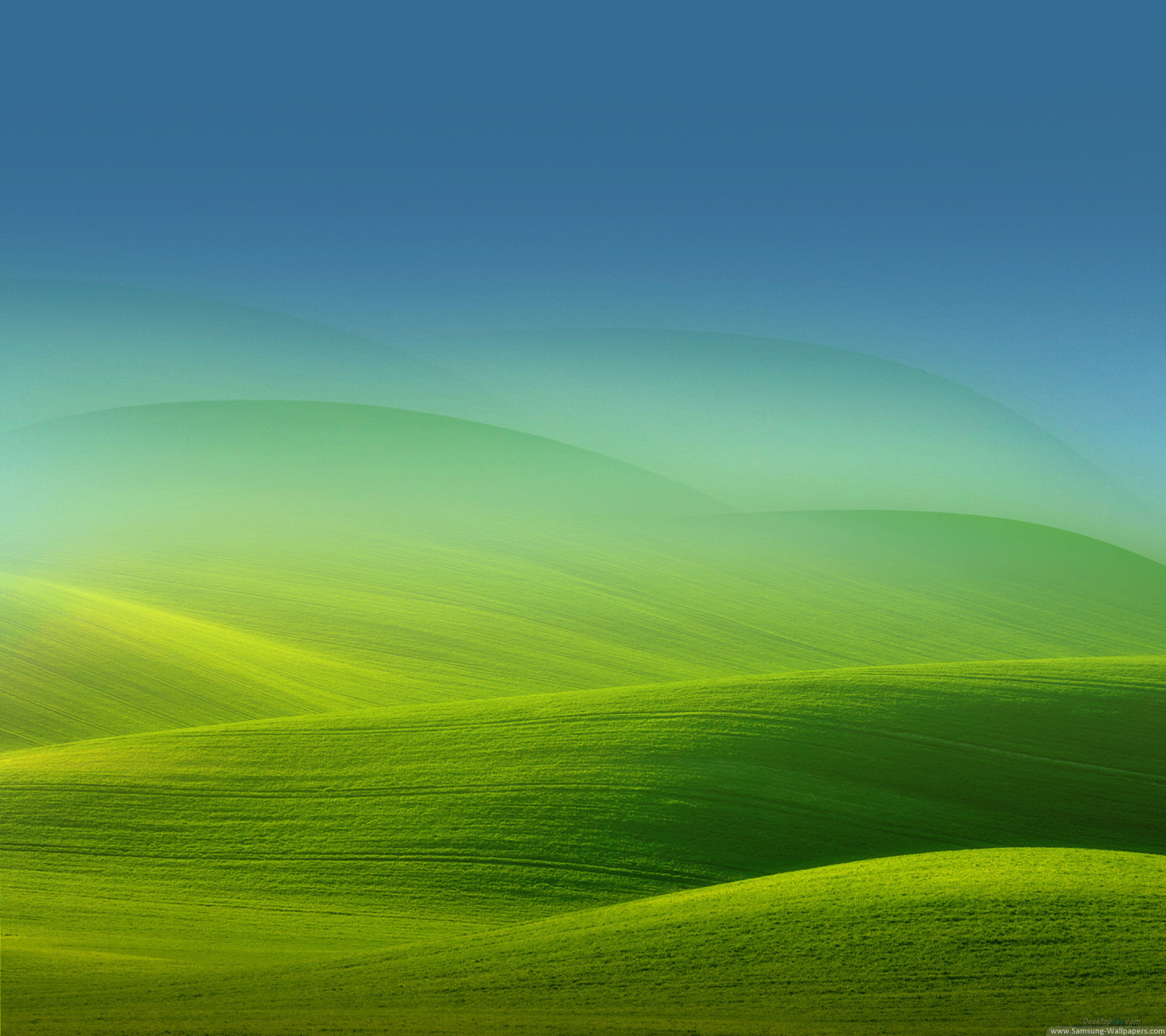 sfondo della schermata di blocco oppo,verde,prateria,natura,cielo,paesaggio naturale