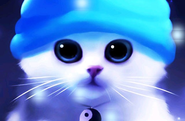 galerie de photos de fond d'écran en direct,chat,moustaches,félidés,chats de petite à moyenne taille,bleu