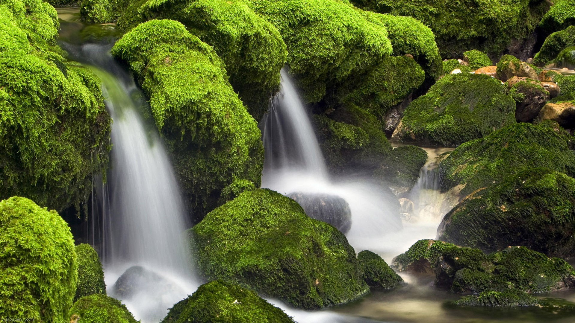 live wallpaper fotogalerie,wasservorräte,gewässer,natürliche landschaft,wasserfall,natur