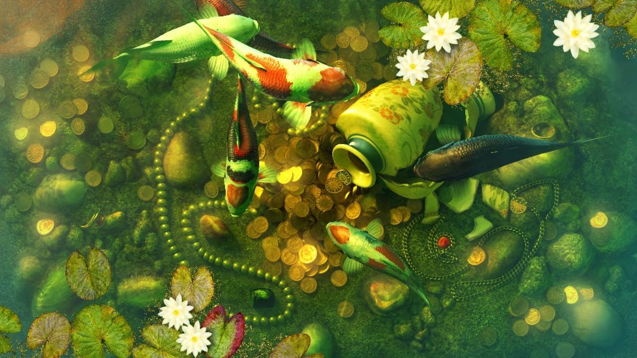 fondo de pantalla de estanque koi,planta,estanque,flor