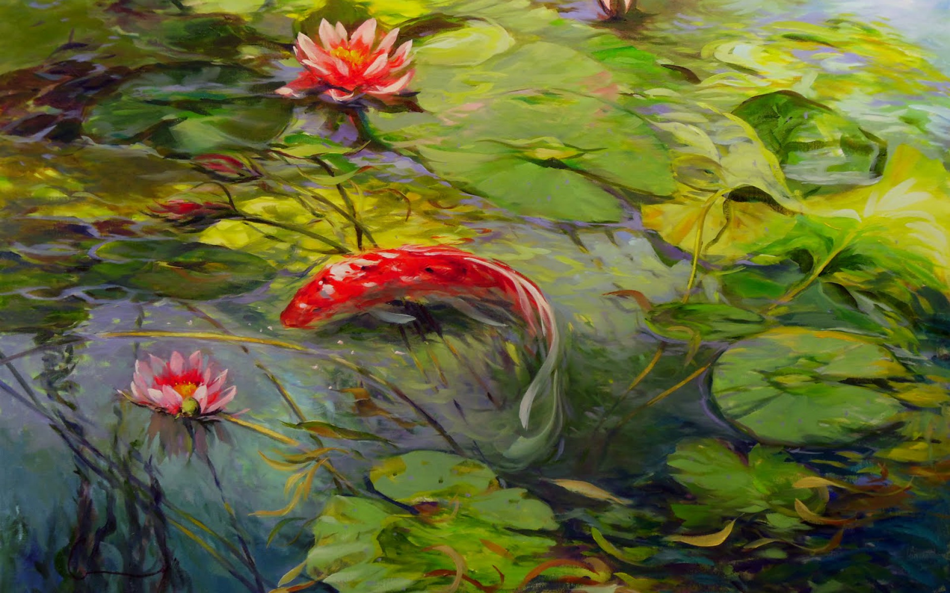 Lovely Koi Lily Pond Wallpapers Lovely Koi Lily Pond - Koi Fish In Lily