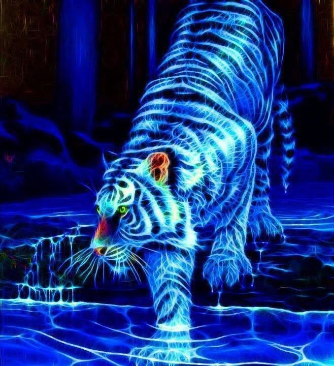 papier peint tigre néon,tigre du bengale,tigre,l'eau,félidés,faune