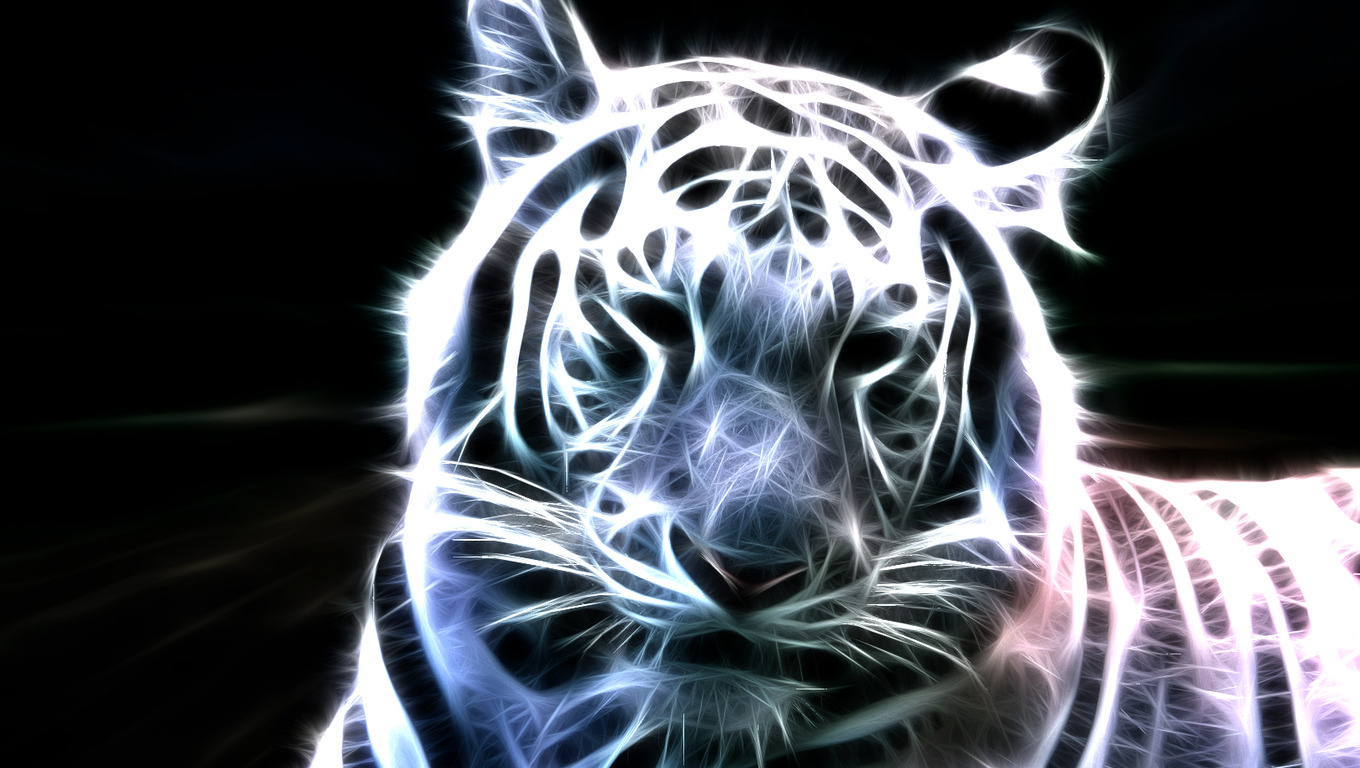 neon tiger wallpaper,felidae,whiskers,wildlife,terrestrial animal,big cats