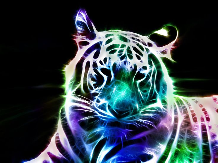 carta da parati neon tigre,felidae,natura,neon,grandi gatti,barba