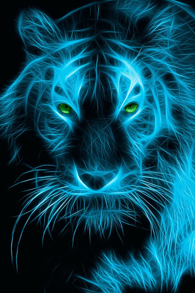carta da parati neon tigre,blu,felidae,barba,grandi gatti,blu elettrico
