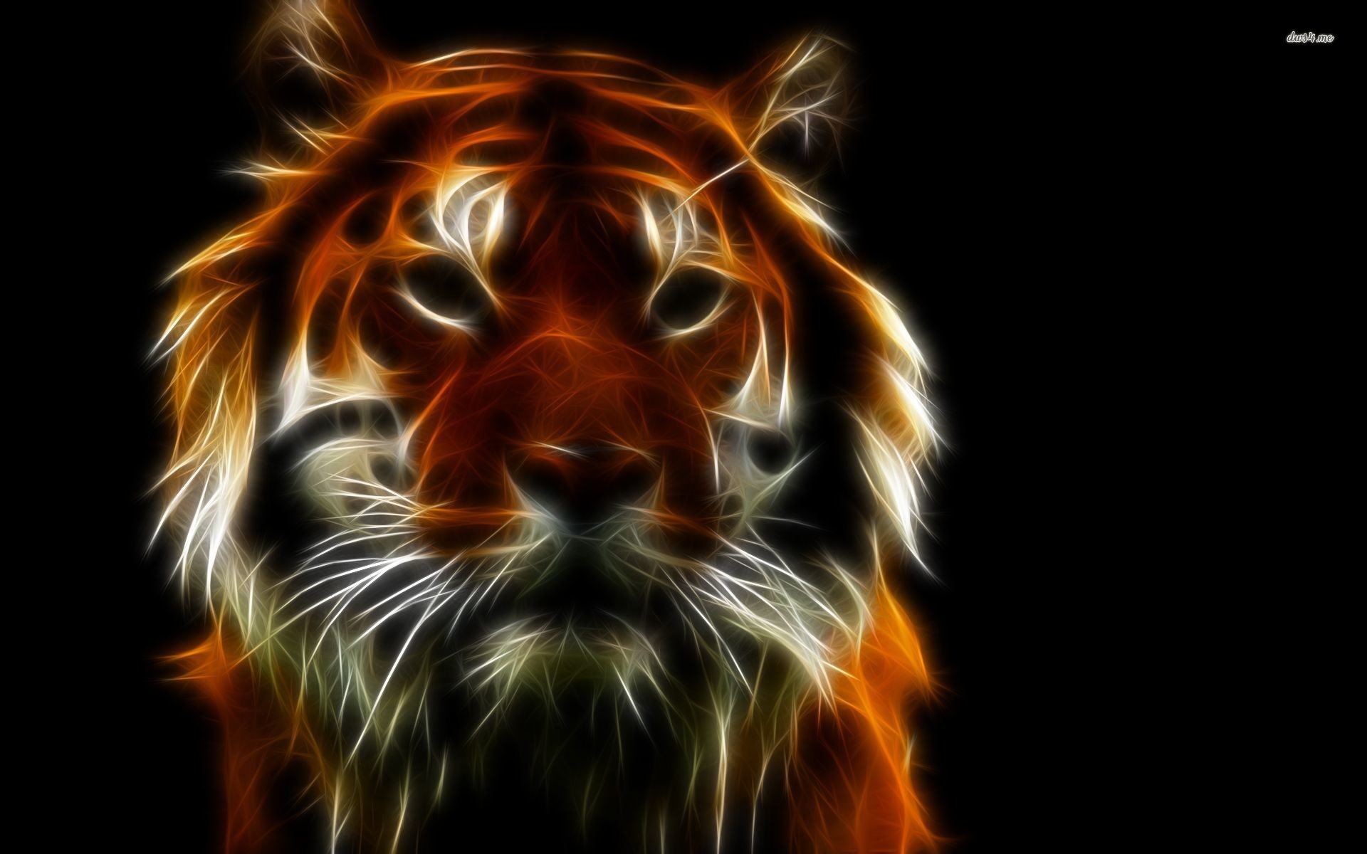 neon tiger wallpaper,lion,felidae,big cats,wildlife,whiskers