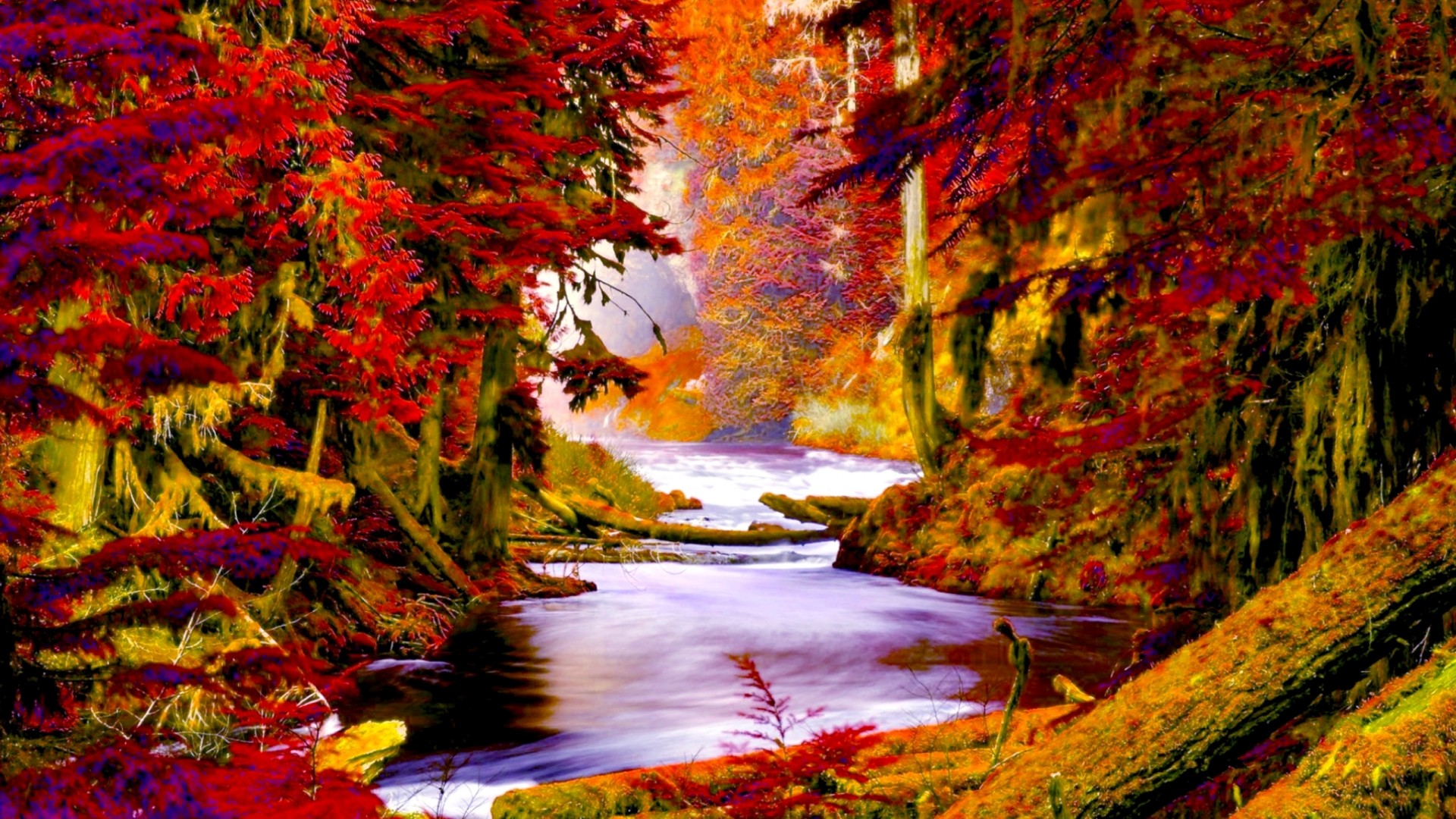 森画像壁紙,自然,自然の風景,木,葉,赤