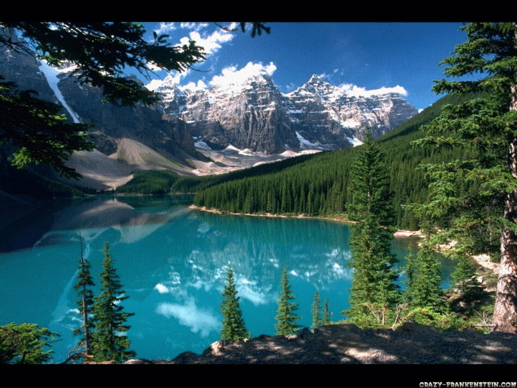 bella carta da parati foresta,paesaggio naturale,natura,corpo d'acqua,montagna,risorse idriche