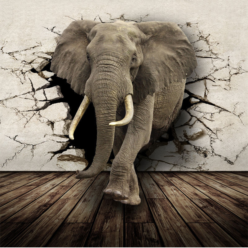 relieftapete,elefant,elefanten und mammuts,indischer elefant,landtier,afrikanischer elefant