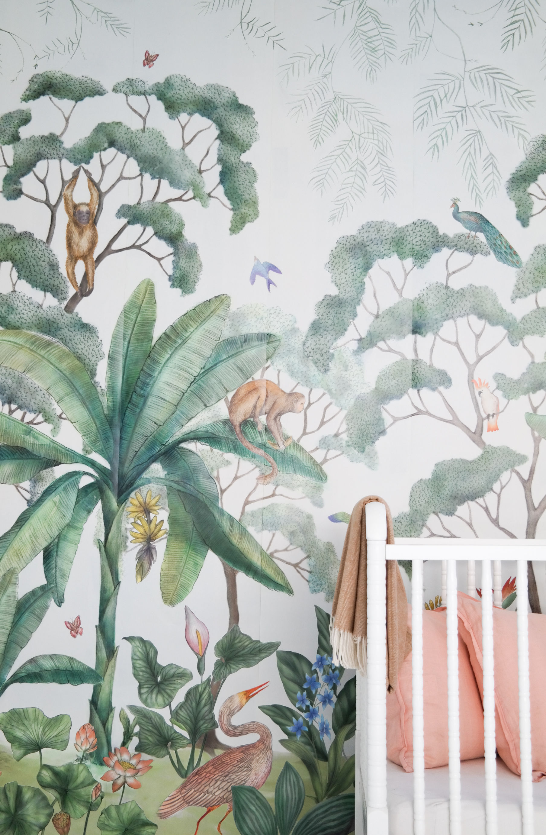 jungle wallpaper mural,botany,plant,wallpaper,leaf,tree