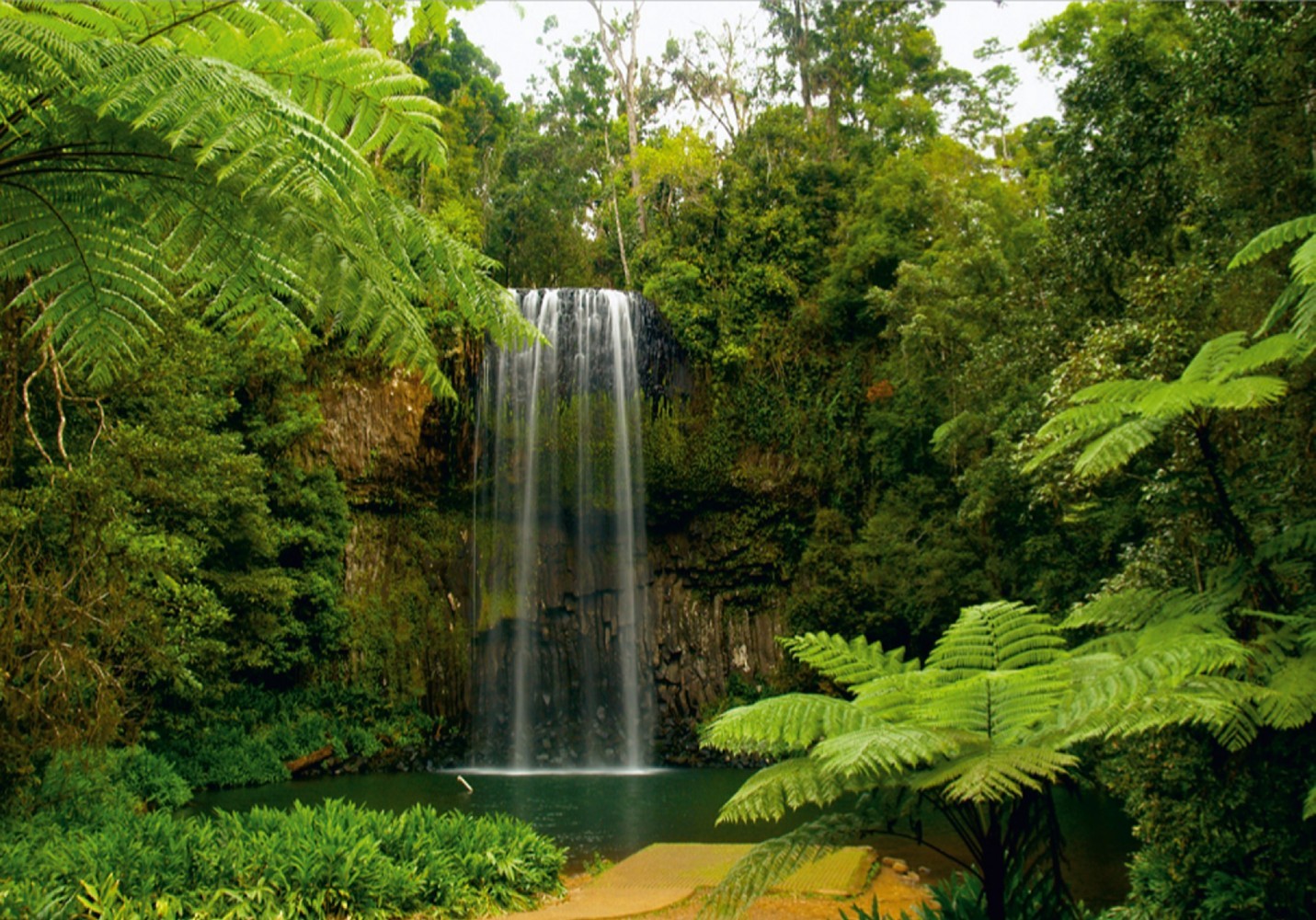 jungle wallpaper mural,waterfall,water resources,natural landscape,nature,body of water
