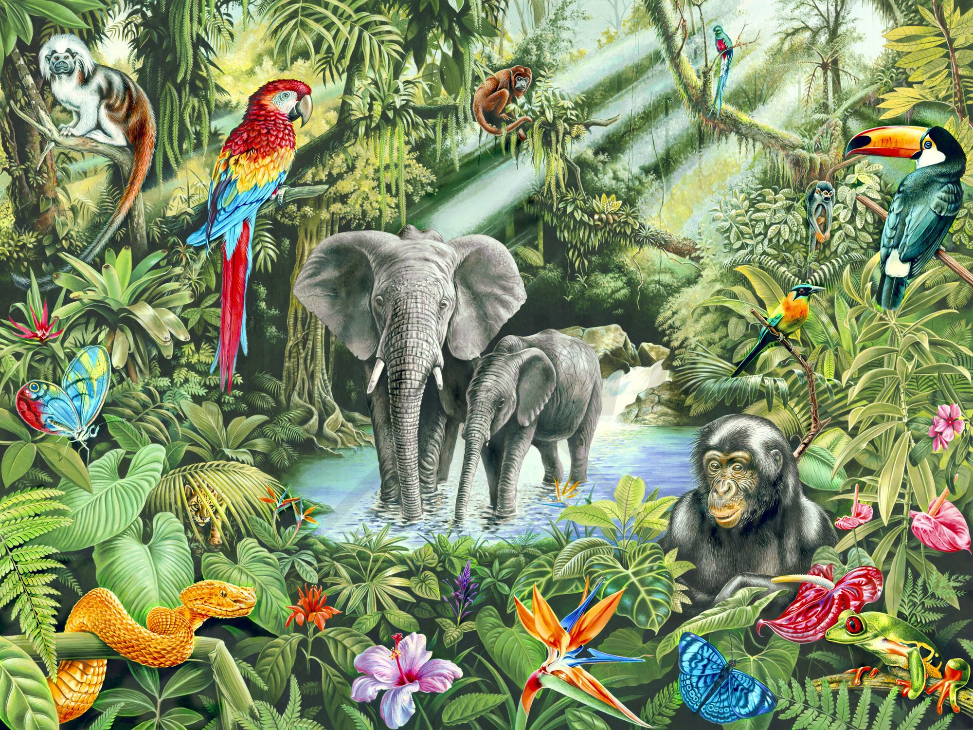 jungle wallpaper mural,elephant,elephants and mammoths,indian elephant,jungle,natural environment