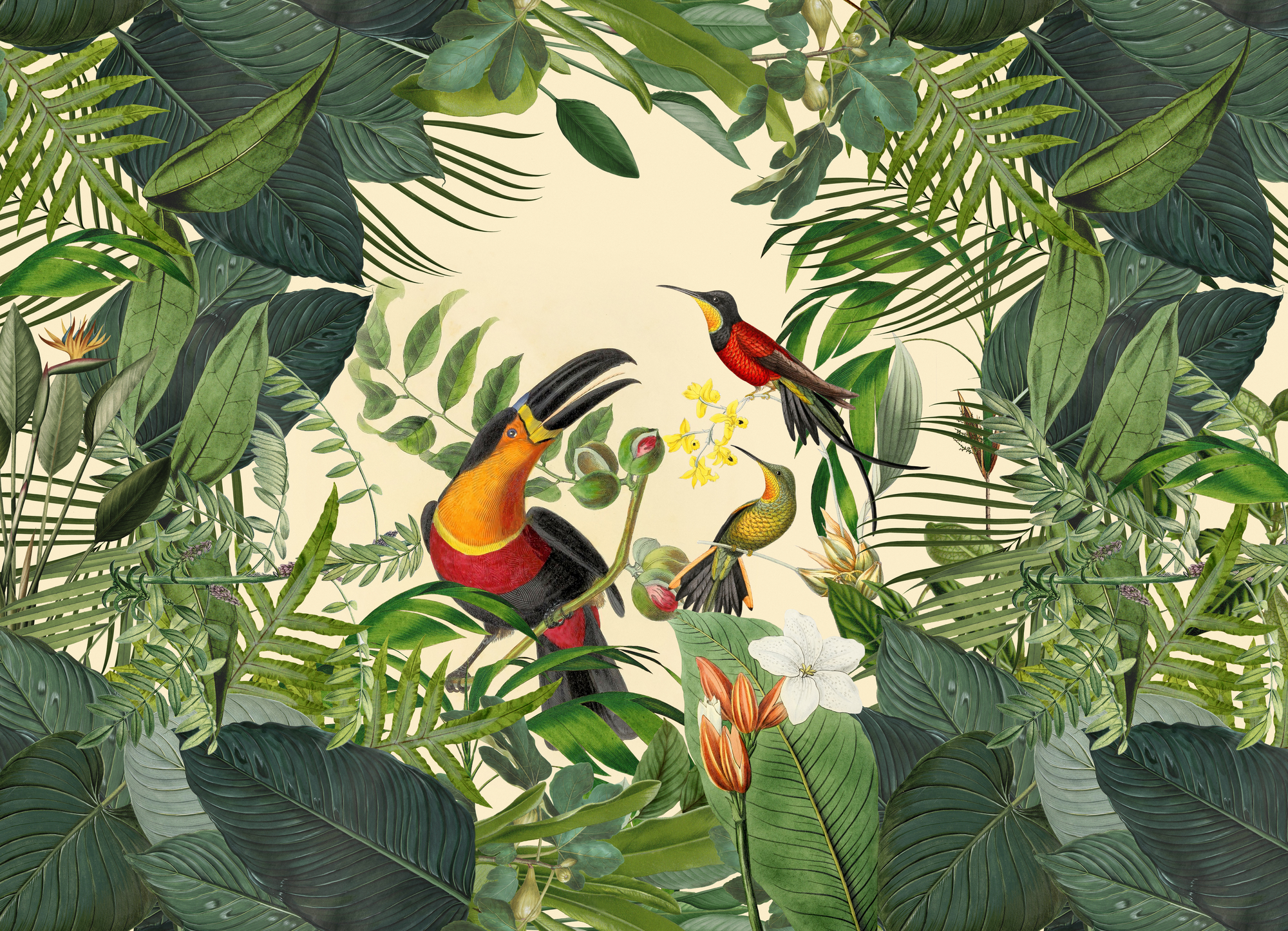 mural de papel tapiz de la selva,pájaro,planta,flor,selva,anturio